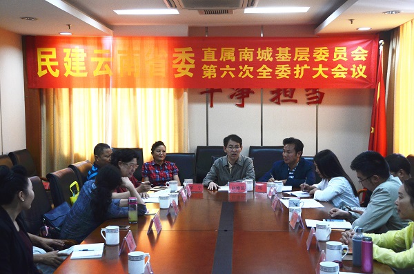 民建云南省委直属南城基层委员会第六次全委扩大会提出    积极撰写社情民意    形成参政议政成果